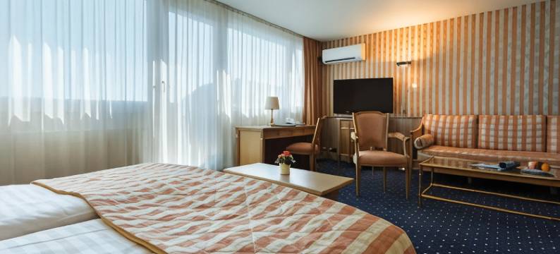 洛桑市大陆酒店(Continental Hotel Lausanne)图片