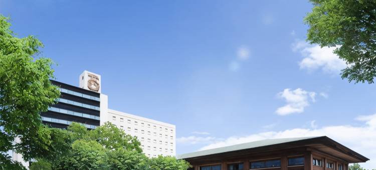 东云大饭店(Hotel Grand Shinonome)图片