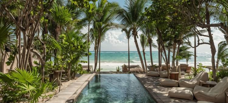 Xela Tulum - Design Hotels成员(Xela Tulum - Member of Design Hotels)图片