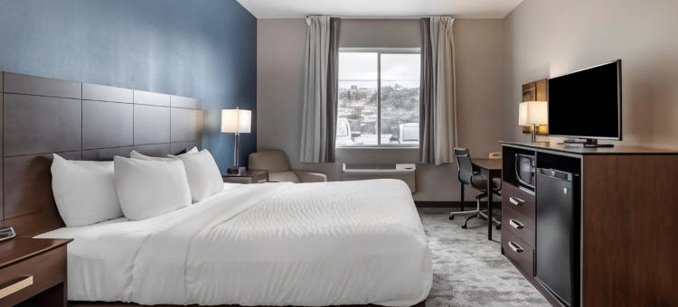 金曼I-40 66号公路凯隆酒店(Clarion Inn Kingman I-40 Route 66)图片