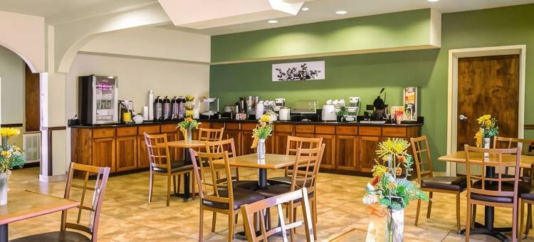 近棕榈州立公园的冈萨雷斯舒眠酒店及套房(Sleep Inn & Suites Near Palmetto State Park)图片