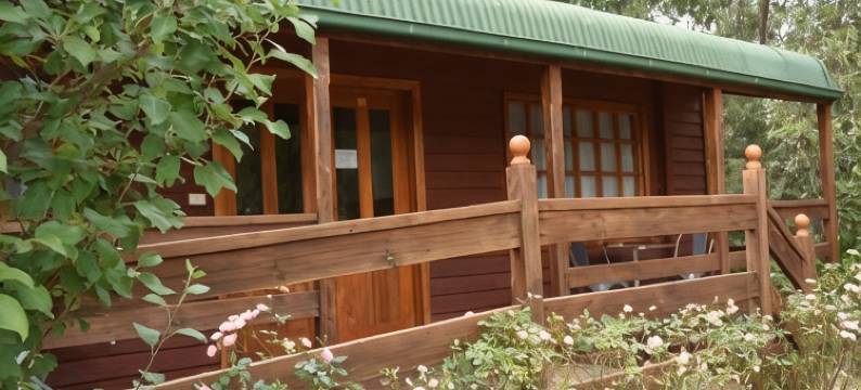 圣殿之家度假村汽车旅馆(Sanctuary House Resort Motel)图片