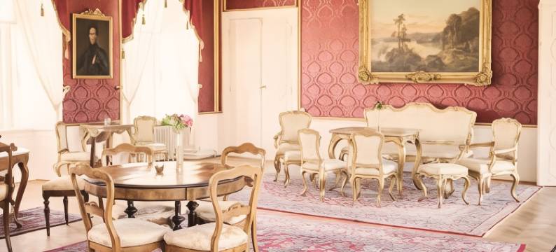 巴卡斯戈斯洛特-加龙省酒店(Bäckaskog Slott)图片