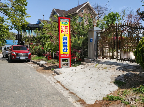 Gyeongju Natural Mushroom & Pool Villa