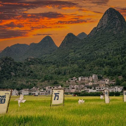 贵州黄果树景区+西江千户苗寨+荔波+梵净山+万峰林景区+马岭河峡谷景区+镇远古城+织金洞9日8晚拼小团