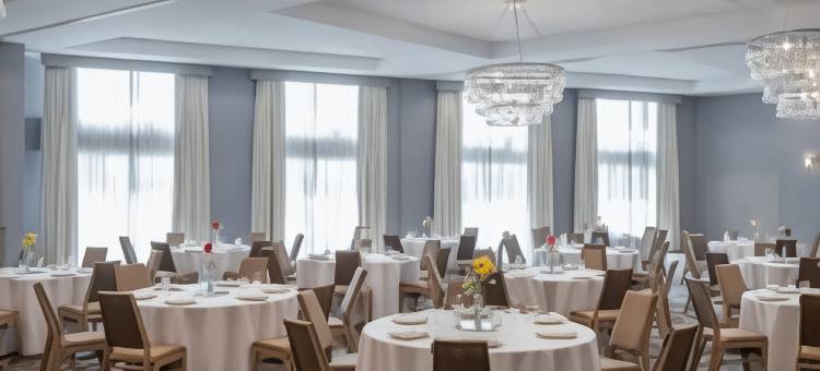 梅泰里新奥尔良喜来登酒店(Sheraton Metairie - New Orleans Hotel)图片