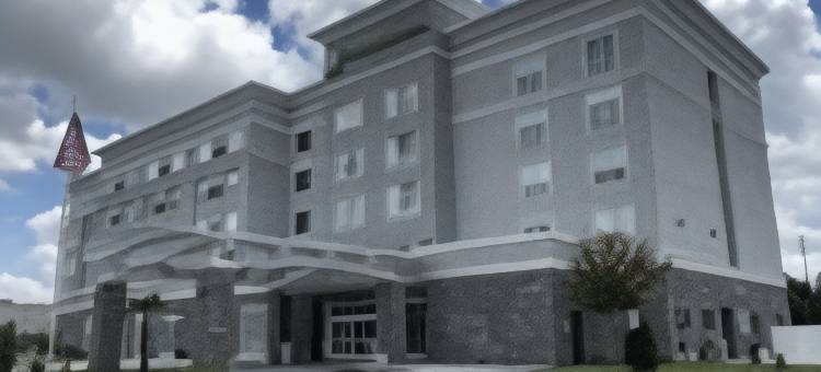 洲际酒店集团费耶特维尔西-布拉格堡地区假日酒店及套房(Holiday Inn & Suites Fayetteville W-Fort Bragg Area)图片