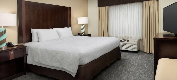 阿尔普哈雷塔欢朋套房酒店(Hampton Inn & Suites Alpharetta)图片