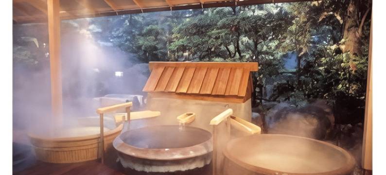 芦原温泉清风庄(Awara Onsen Seifuso)图片