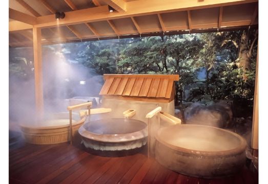 Awara Onsen Seifuso Hotel Overview