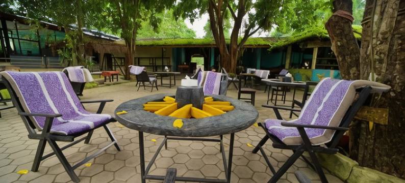 奇旺盖达旅馆(Chitwan Gaida Lodge - Animal Lovers & Birdwatchers Paradise)图片