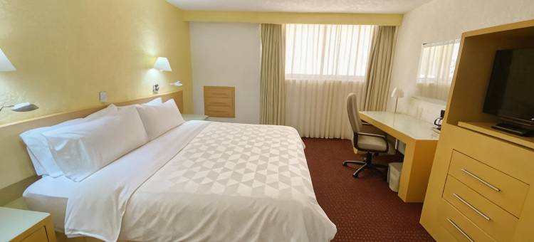 Holiday Inn 莫雷利亚(Holiday Inn MORELIA by IHG)图片