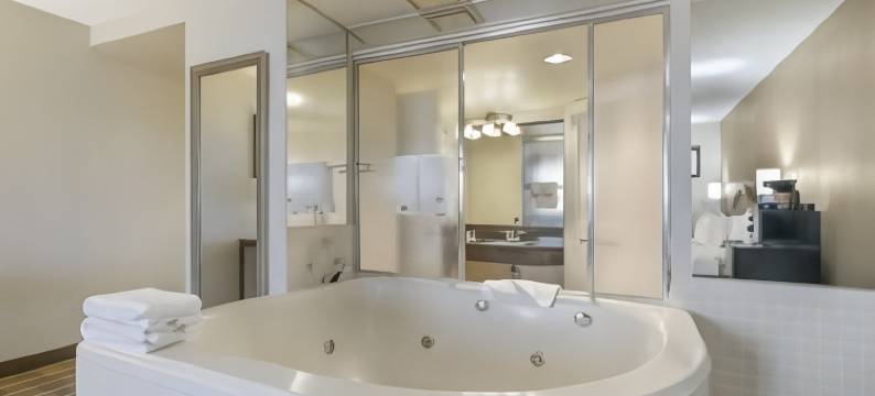 大学中心舒适酒店(Comfort Inn University Center)图片