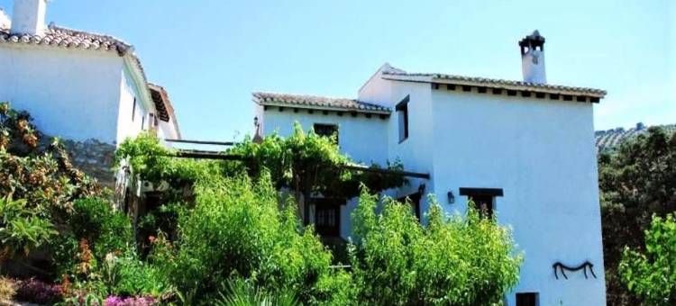 Country House in Andalusia with Pool图片