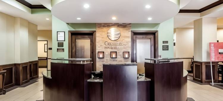 舒适套房酒店(Comfort Inn & Suites)图片