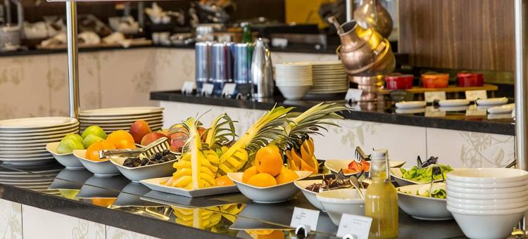 萨拉热窝瑞士酒店(Swissôtel Sarajevo)图片
