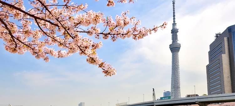 KOKO HOTEL 上野站前(原名：Hotel Wing Select 上野・御徒町)(KOKO HOTEL Ueno Station (formerly Hotel Wing Select Ueno-Okachimachi))图片