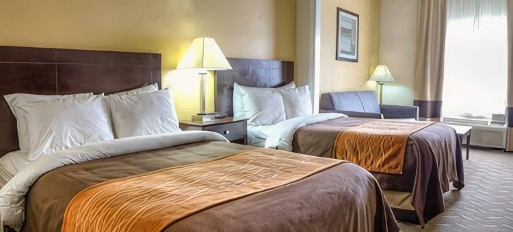 卡尔森、伯明翰 - 胡佛乡村酒店及套房(Sleep Inn & Suites)图片