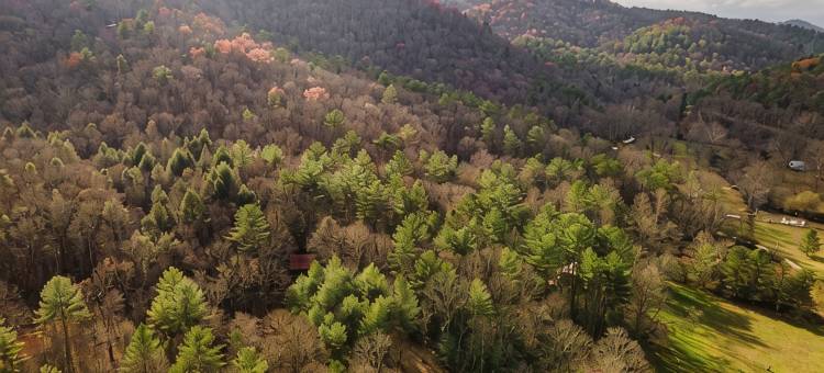 山间; 托科阿河 配有火坑的宁静木屋，可携犬(Peaceful Cabin in the Mountains; Near Toccoa River w/Firepit, Dog-Friendly)图片
