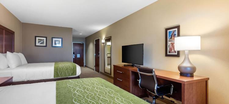 克罗斯普雷克斯乡村舒适套房酒店(Comfort Inn & Suites at CrossPlex Village)图片