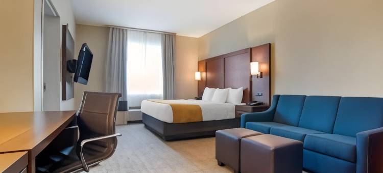 舒适套房酒店(Comfort Suites)图片