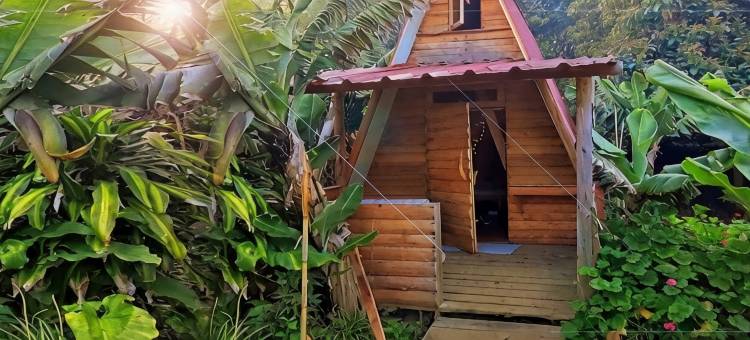 香蕉生态营地(Banana Eco Camp)图片