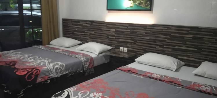 比斯莫科迪里酒店(Hotel Bismo)图片