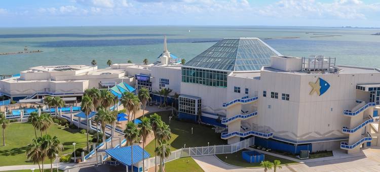 圣体市国际机场贝斯特韦斯特酒店(Best Western Corpus Christi Airport Hotel)图片