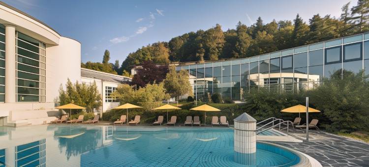 多林特约旦巴德公园酒店比伯拉赫安德里斯(Dorint Parkhotel Jordanbad)图片