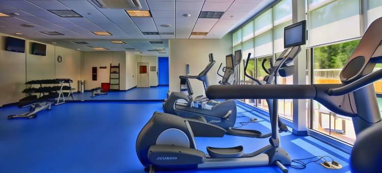 坦帕北/坦帕棕榈万豪SpringHill酒店(SpringHill Suites Tampa North/I-75 Tampa Palms)图片