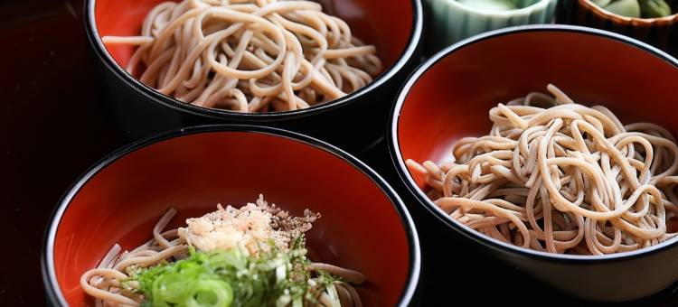 御宿野乃松江温泉酒店(Tennenonsen Dandannoyu Onyadononomatsue)图片