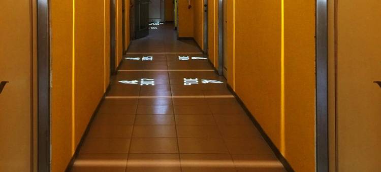 寄居蟹行旅图片