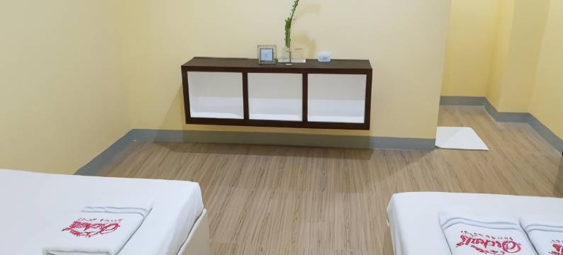 B&S兰花套房酒店(B&S Orchids Suites Hotel)图片