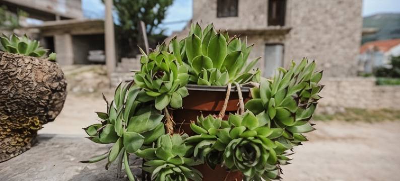 Apartments Phoenix图片