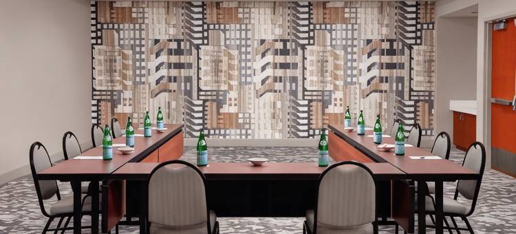 底特律市区希尔顿花园旅馆(Hilton Garden Inn Detroit Downtown)图片