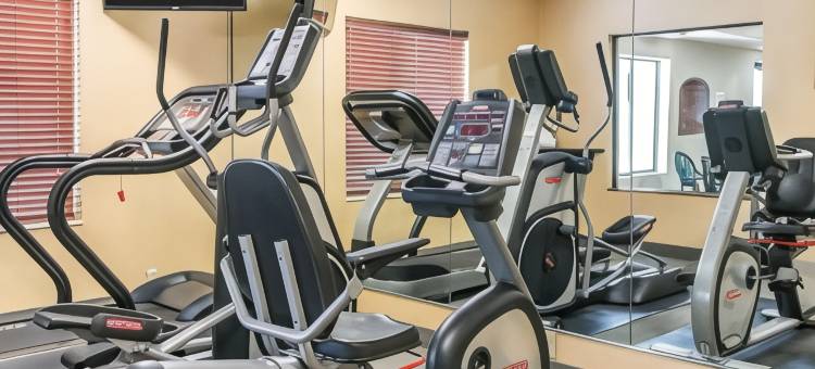 凯艺套房酒店(Quality Inn & Suites Niles)图片