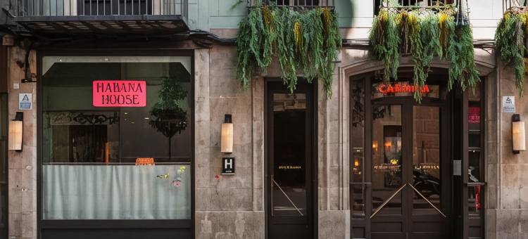 chic&basic 哈瓦那之家(Chic&Basic Habana Hoose)图片