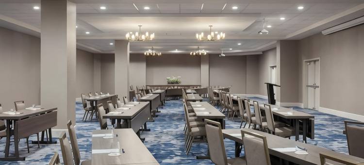 维吉尼亚海滩海滨万豪德尔塔酒店(Delta Hotels Virginia Beach Waterfront)图片