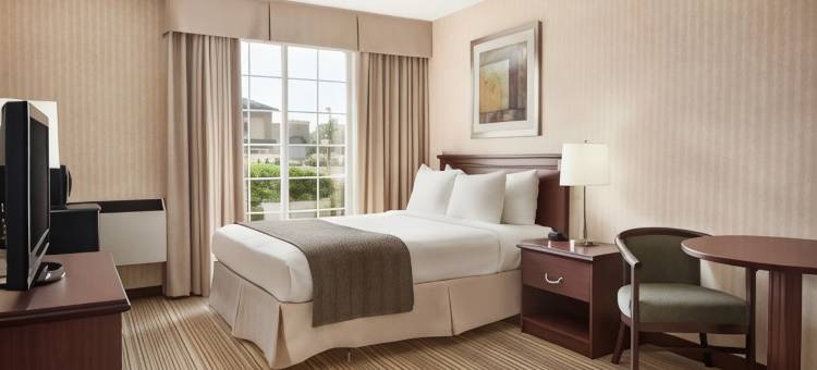 布兰特福德戴斯酒店(Days Inn by Wyndham Brantford)图片