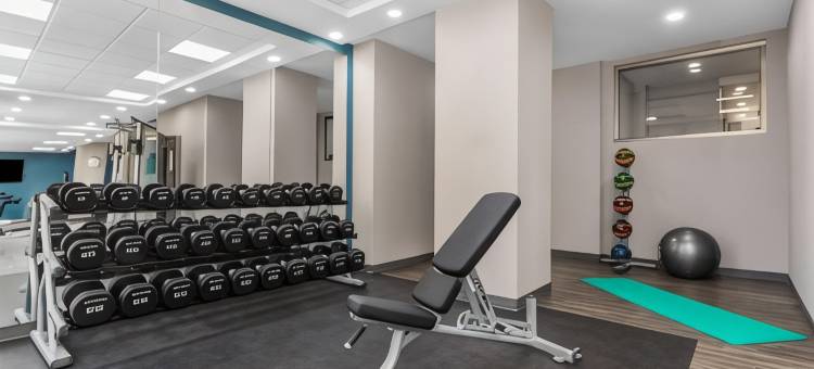 希尔顿欢朋酒店及套房 多伦多市中心(Hampton Inn & Suites by Hilton Toronto Downtown)图片