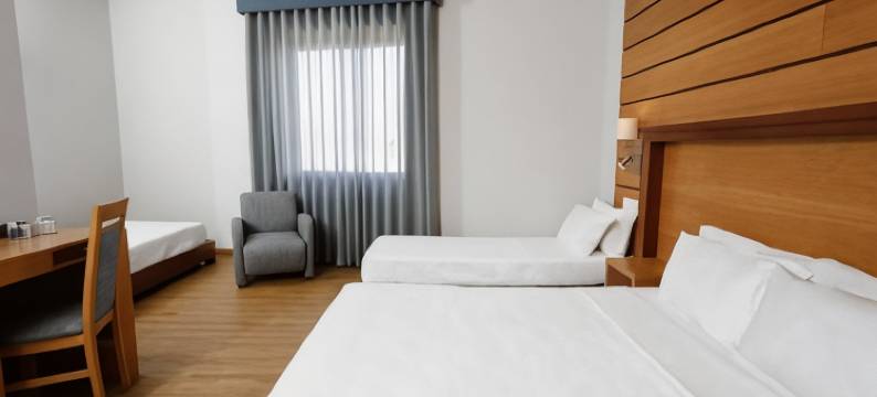 蒙特贝洛宫梅洛斯维塞乌历史酒店(Montebelo Palácio Dos Melos Viseu Historic Hotel)图片