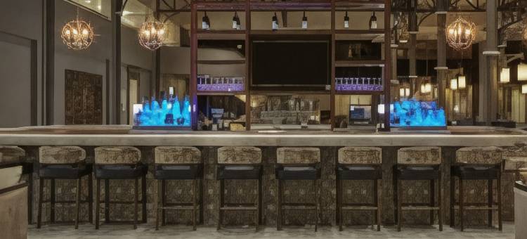 休斯顿北部希尔顿酒店(Hilton Houston North)图片