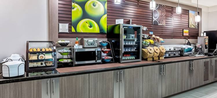 康罗拉昆塔温德姆套房酒店(La Quinta Inn & Suites by Wyndham Conroe)图片