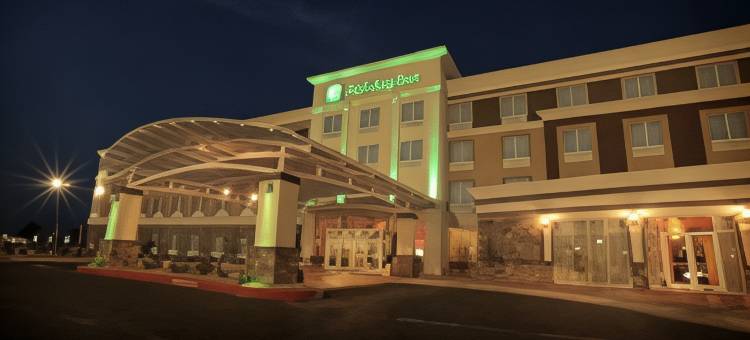 Holiday Inn 阿马里洛西部医疗中心(Holiday Inn Amarillo West Medical Center)图片