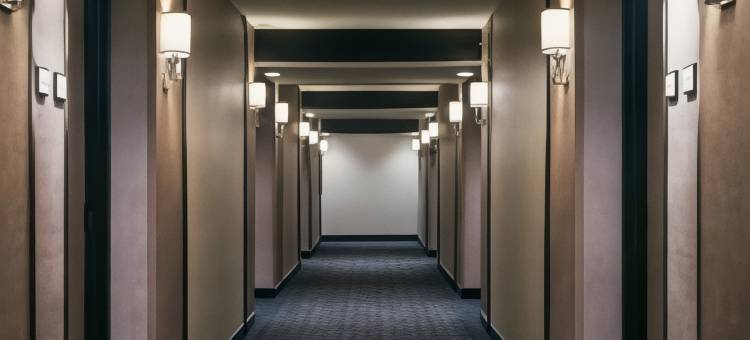 夏洛特机场喜来登酒店(Sheraton Charlotte Airport Hotel)图片