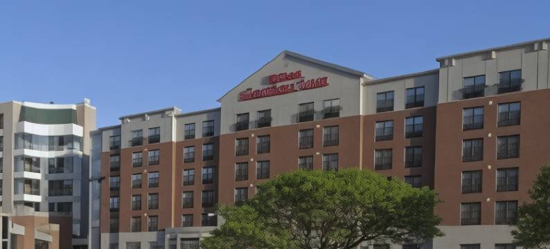 希尔顿花园奥尔巴尼医学中心酒店(Hilton Garden Inn Albany Medical Center)图片