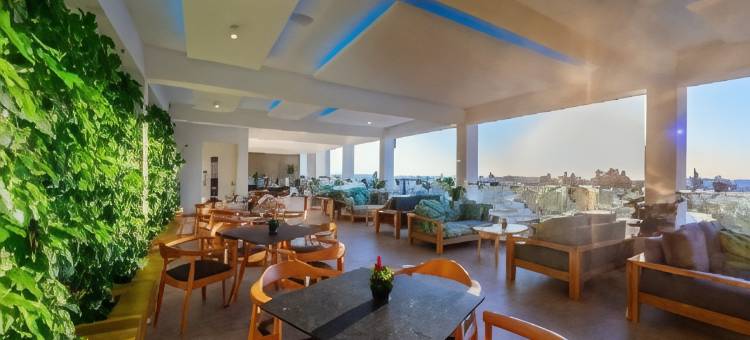 阿内密套房酒店(Anemi Hotel & Suites)图片