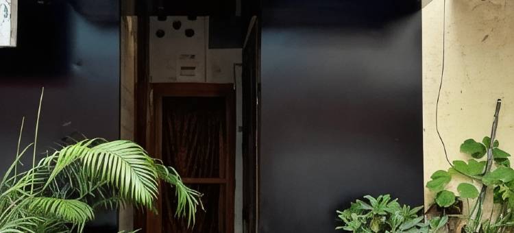 棕榈微风酒店 - 科拉巴(Palm Breeze Hotel - Colaba)图片