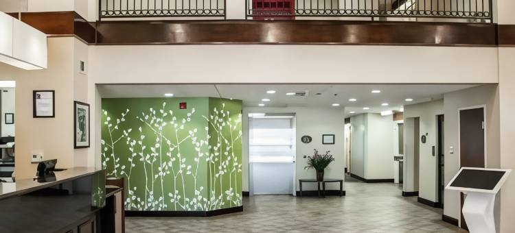 派因维尔 - 亚历山卓舒眠套房酒店(Sleep Inn & Suites Pineville - Alexandria)图片