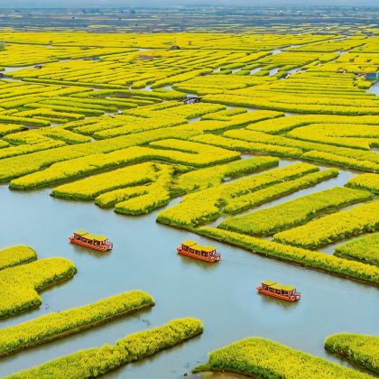 无锡+扬州+泰州+兴化+盐城+淮安10日9晚私家团